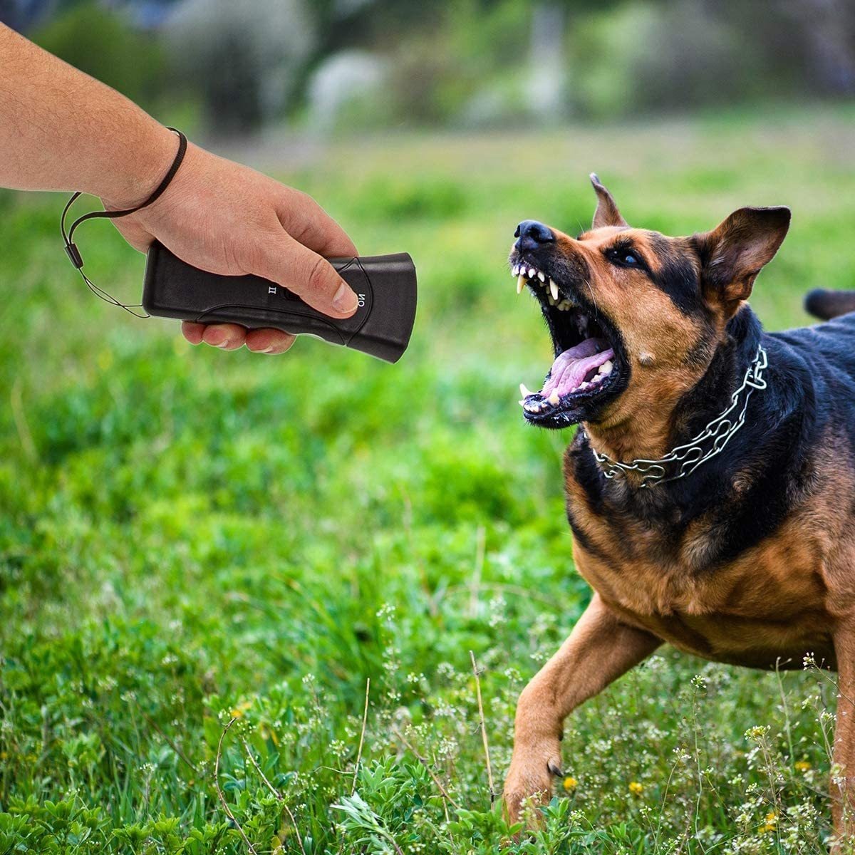 Ahuyentador de perros ultrasónico Extreme Dog con silbato | Ahuyentando